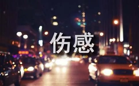 伤感的日志