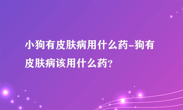 小狗有皮肤病用什么药-狗有皮肤病该用什么药？
