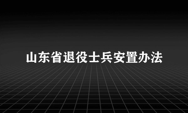 山东省退役士兵安置办法