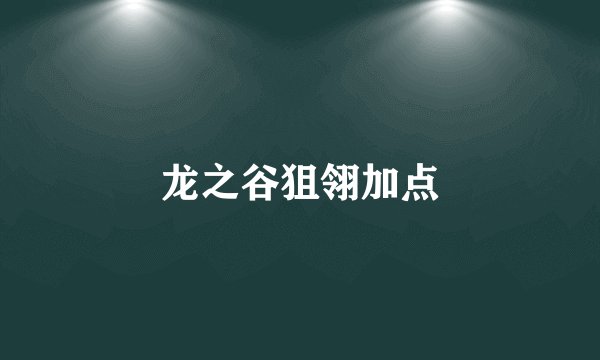 龙之谷狙翎加点