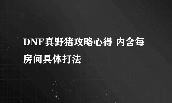 DNF真野猪攻略心得 内含每房间具体打法