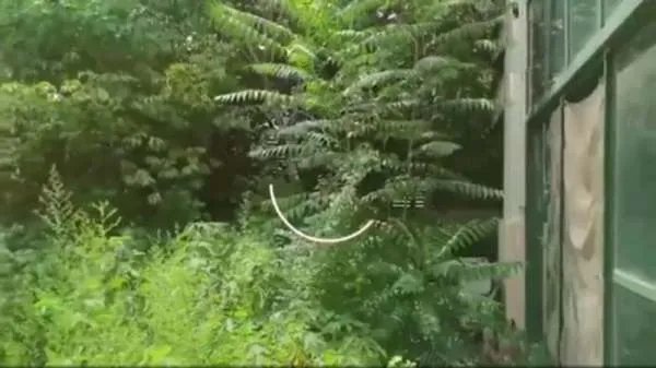 4600万买别墅,突然发现外面有坟头后打官司,很忌讳吗?