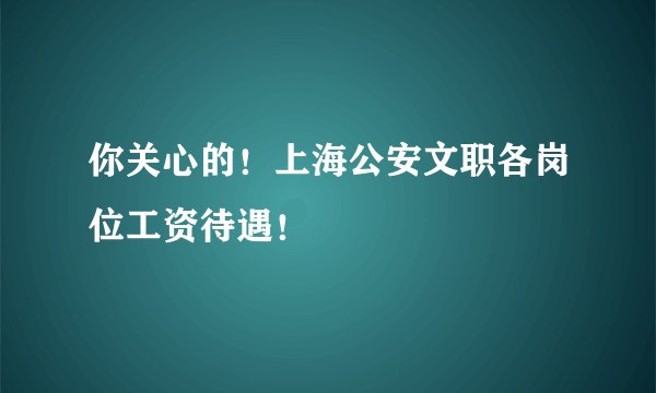 你关心的！上海公安文职各岗位工资待遇！