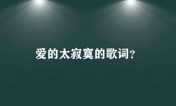 爱的太寂寞的歌词？
