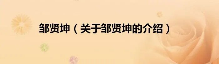 邹贤坤（关于邹贤坤的介绍）
