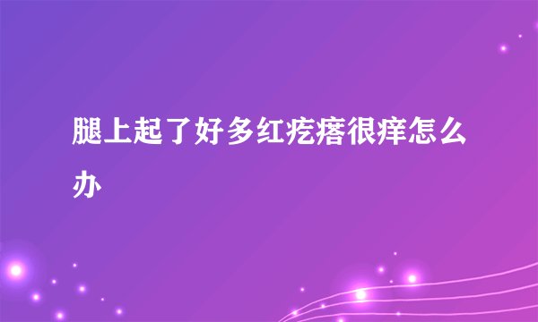 腿上起了好多红疙瘩很痒怎么办
