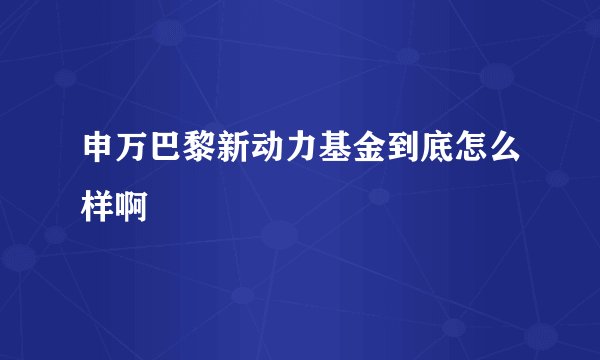 申万巴黎新动力基金到底怎么样啊