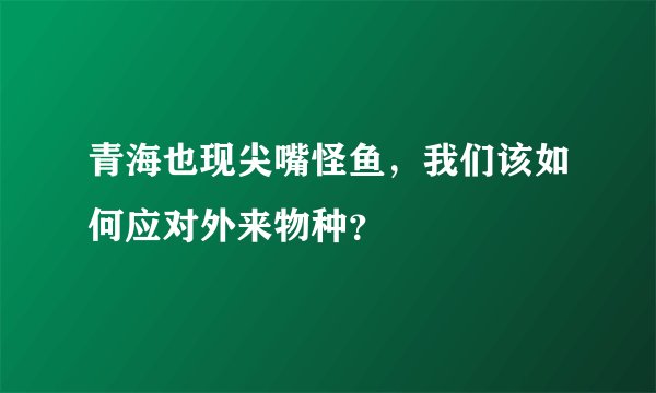 青海也现尖嘴怪鱼,我们该如何应对外来物种?