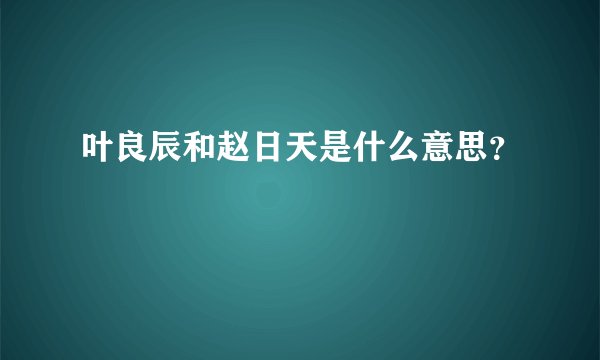 叶良辰和赵日天是什么意思？