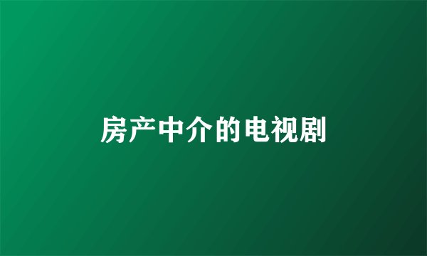 房产中介的电视剧