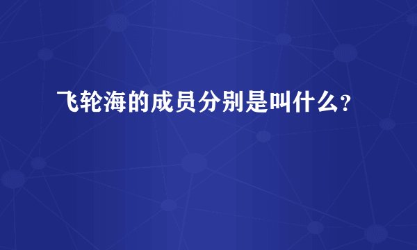 飞轮海的成员分别是叫什么？