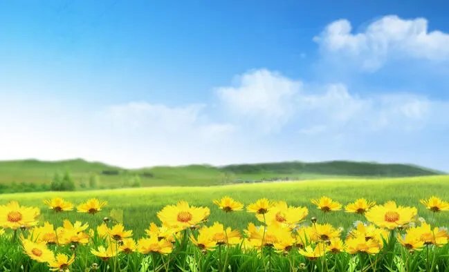 2020春暖花开的句子 春暖花开适合发朋友圈的说说2020