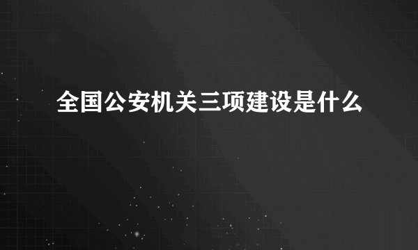 全国公安机关三项建设是什么