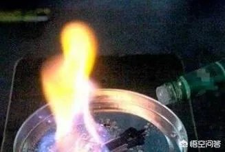 你见过哪些熊孩子“作死”的行为？