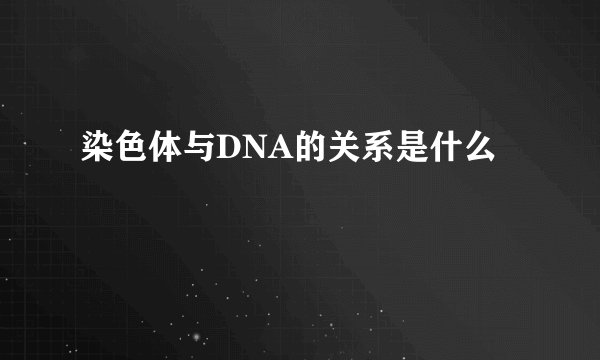 染色体与DNA的关系是什么