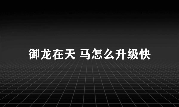 御龙在天 马怎么升级快