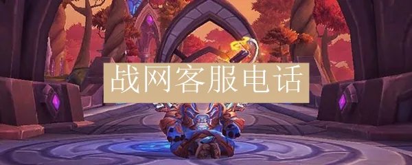 战网客服电话