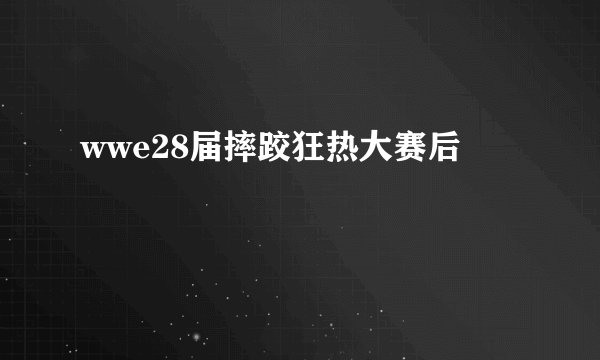wwe28届摔跤狂热大赛后