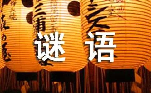 打一节气的谜语