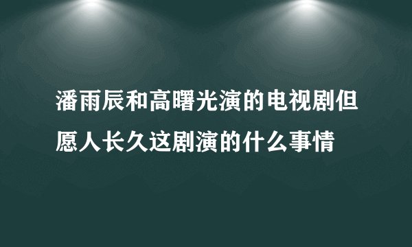 潘雨辰和高曙光演的电视剧但愿人长久这剧演的什么事情