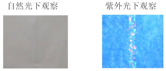 怎么查询发票的真伪？