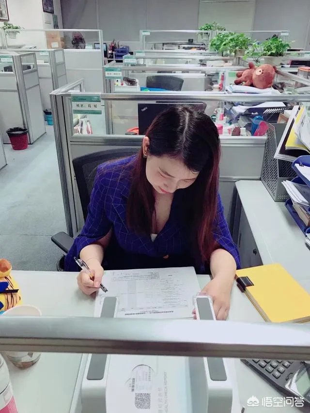 进化力