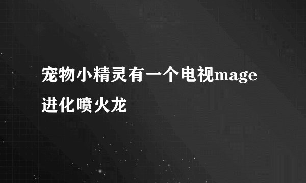 宠物小精灵有一个电视mage进化喷火龙