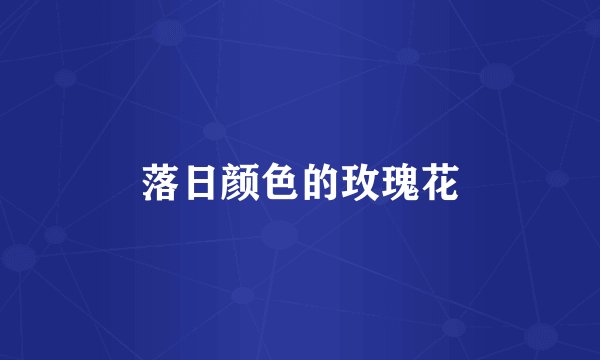 落日颜色的玫瑰花