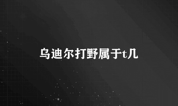 乌迪尔打野属于t几