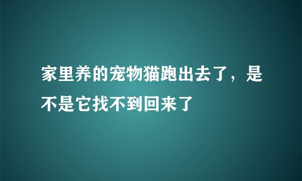 家里养的宠物猫跑出去了，是不是它找不到回来了
