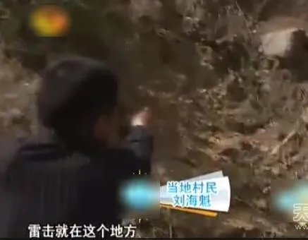 云梦山白蛇渡劫失败被雷劈死:竟被野猪吃掉