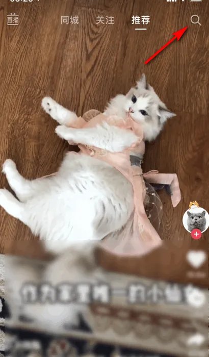 罗永浩直播在哪里看?