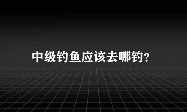 中级钓鱼应该去哪钓？