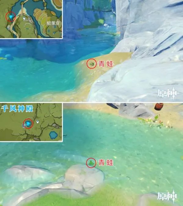 原神四方八方之网可捕捉动物在哪