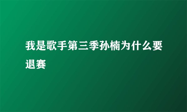 我是歌手第三季孙楠为什么要退赛