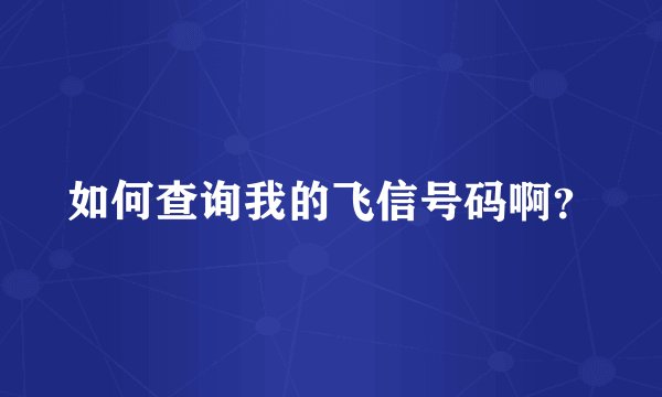 如何查询我的飞信号码啊？