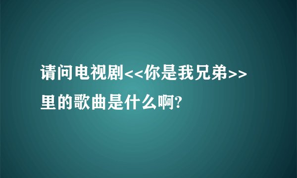 请问电视剧<<你是我兄弟>>里的歌曲是什么啊?