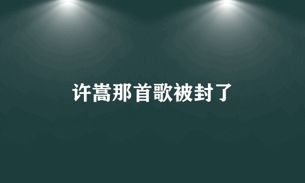 许嵩那首歌被封了