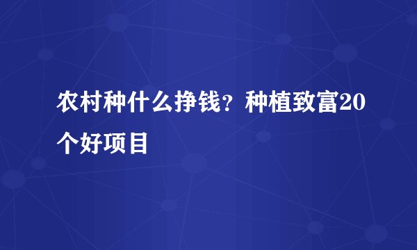 农村种什么挣钱？种植致富20个好项目