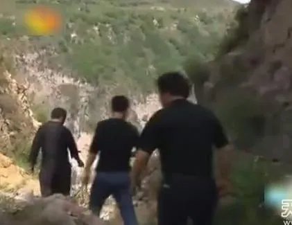云梦山白蛇渡劫失败被雷劈死:竟被野猪吃掉