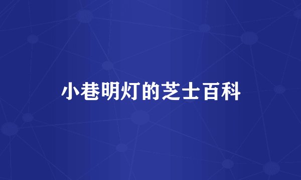 小巷明灯的芝士百科