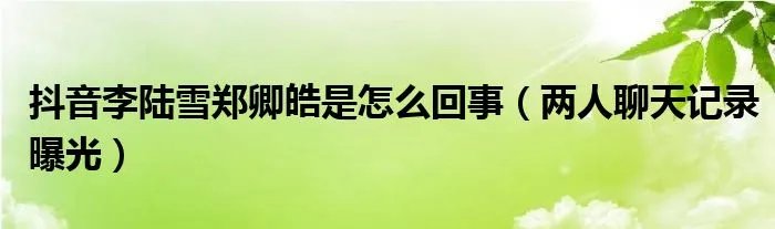 抖音李陆雪郑卿皓是怎么回事（两人聊天记录曝光）