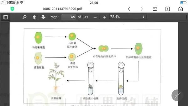 为什么植物是体细胞杂交,动物是细胞杂交?