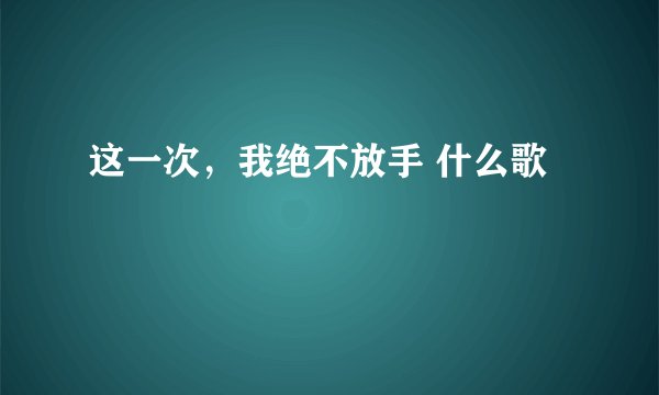 这一次,我绝不放手 什么歌