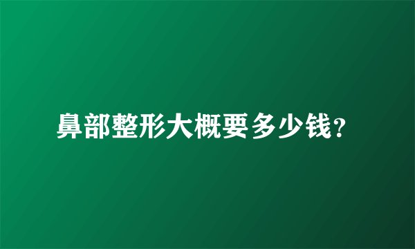 鼻部整形大概要多少钱？