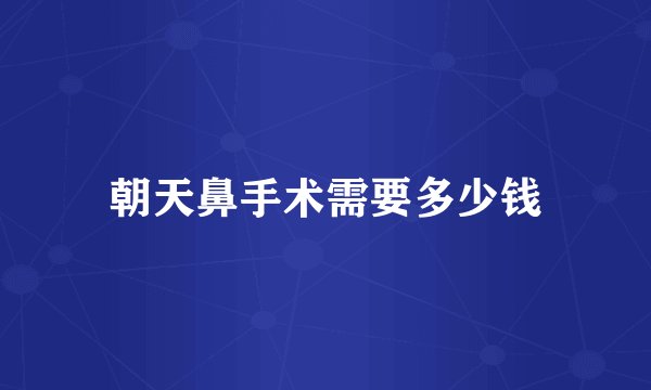 朝天鼻手术需要多少钱