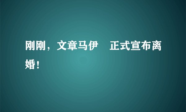 刚刚，文章马伊琍正式宣布离婚！
