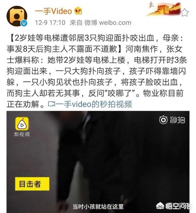 2岁娃等电梯时遭邻居3只狗迎面扑咬出血,事发8天后狗主人不露面不道歉,你怎么看?