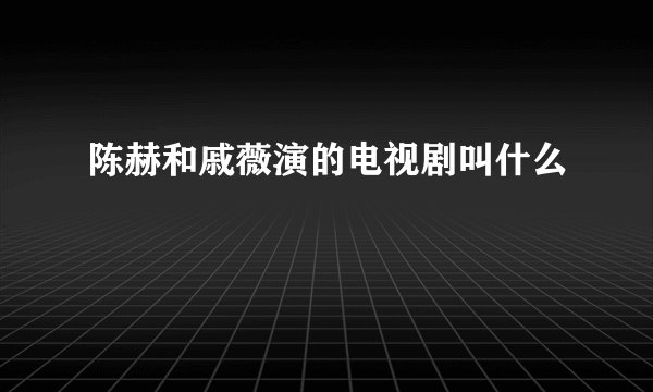 陈赫和戚薇演的电视剧叫什么
