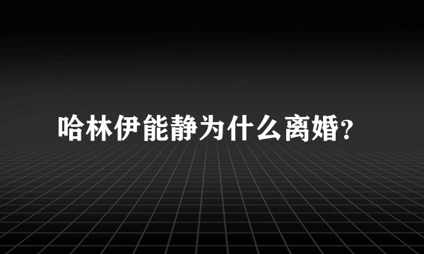 哈林伊能静为什么离婚?